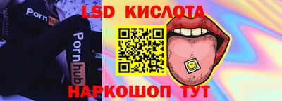 амф Кингисепп