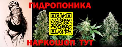 амф Кингисепп