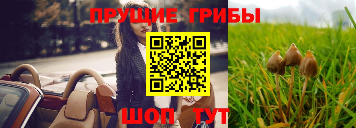 даркнет сайт  Галлюциногенные грибы GOLDEN TEACHER  Вход с VPN  Бутурлиновка  Галлюциногенные грибы MAGIC MUSHROOMS 